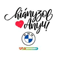 Hianyzól anyu
