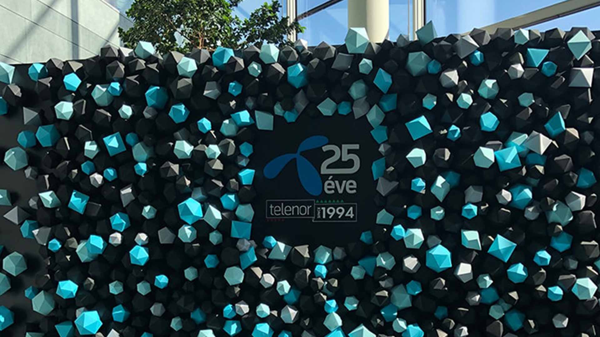 A Bolive Branding Agency a telekommunikációs cég partnere megalakulása óta. A dolgozókkal közösen ünnepelte 25 éves fennállását a központként működő Telenor székházban mely a fenntarthatóságával és környezettudatosságával sokáig egyedülálló volt Magyarországon. Nem mellesleg az épület átadásán a Norvég királyi család is jelen volt, és a Bolive Branding Agency szervezhette az eseményt.